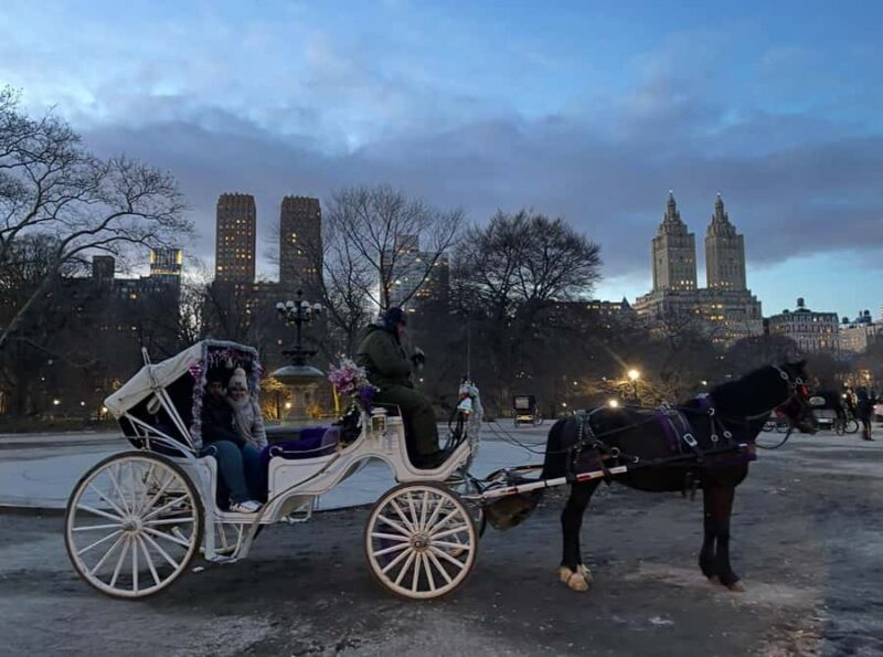 NYC: Amazing Central Park Horse and Carriage Ride with Guide - The Sum Up