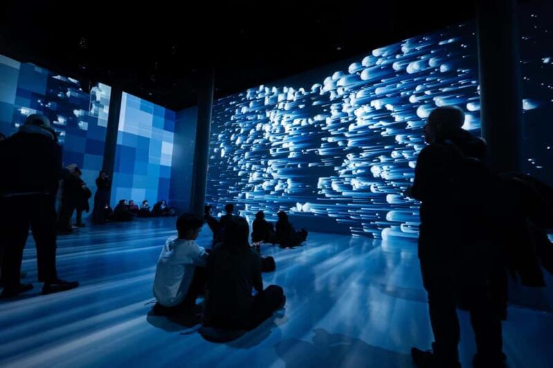 NYC: ARTECHOUSE Immersive Art Experience Entrance Ticket - The Real Value: Is It Worth It?