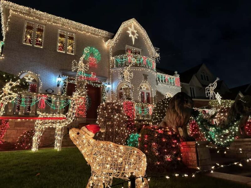 NYC at Night: 3.5 Hour Tour of Holiday Lights - What Reviewers Say