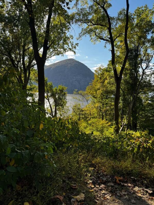 NYC: Beyond New York City Hikes - The Sum Up