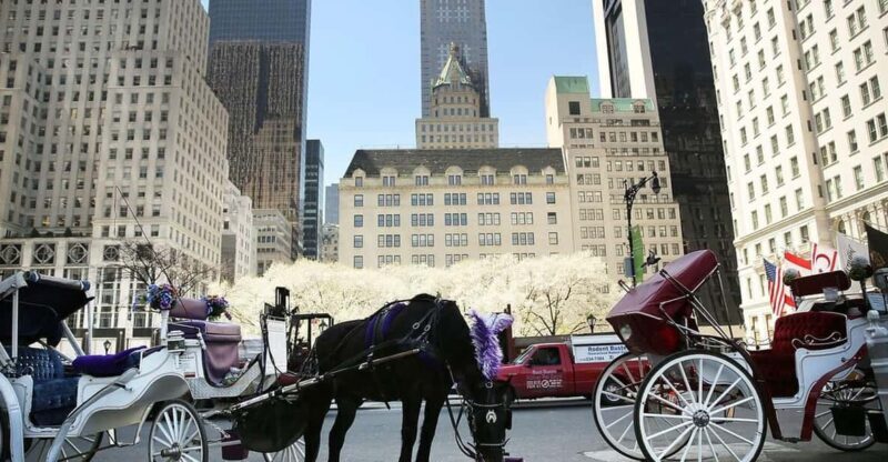 NYC: Central Park Christmas Lights Horse-Drawn Carriage Ride - The Experience: What You Can Expect