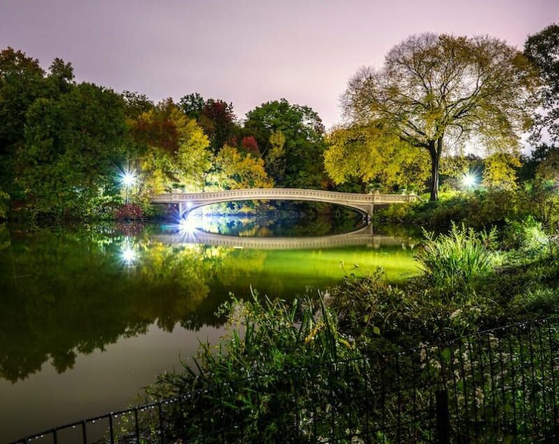 NYC: Central Park Christmas Lights Horse-Drawn Carriage Ride - Final Thoughts: Is It Worth It?