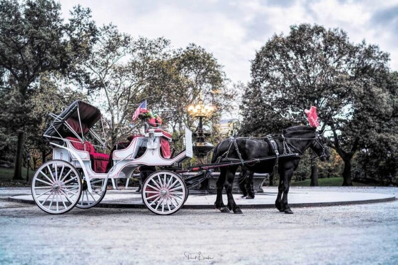 NYC: Central Park Christmas Lights Horse-Drawn Carriage Ride - FAQs