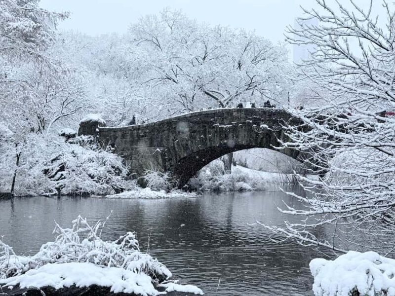 NYC: Central Park Guided Bike Tour with Movie Locations - Key Points