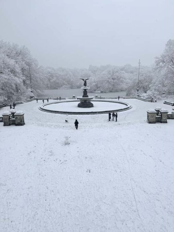 NYC: Central Park Guided Bike Tour with Movie Locations - The Practicalities: What You Need to Know