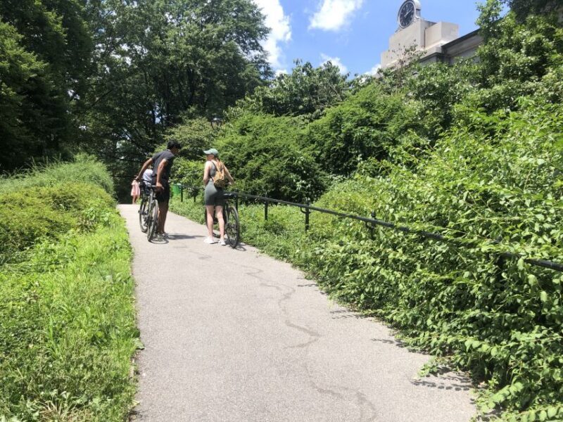 NYC: Central Park Guided Electric Bike Tour - Practical Details and Considerations