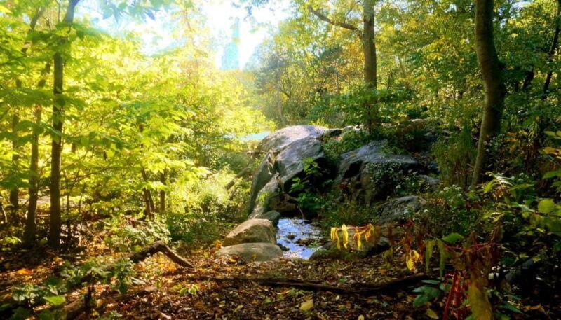 NYC: Central Park Guided Walking Tour English-Spanish - Frequently Asked Questions