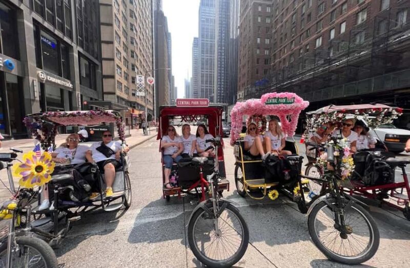 NYC: Central Park Highlights Pedicab Tour - The Logistics: Timing, Accessibility, and Flexibility
