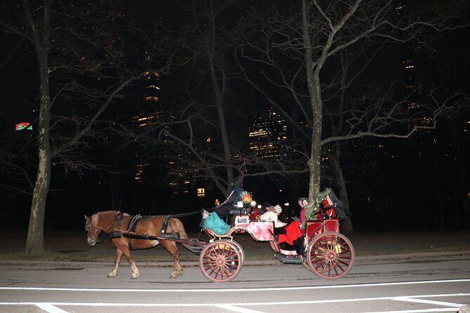 NYC Central Park Horse Carriage Ride (Up to 4 Adults) - Authentic Experiences and Real-World Feedback