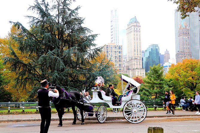 NYC Central Park Horse Carriage Ride (Up to 4 Adults) - Who Should Consider This Tour?