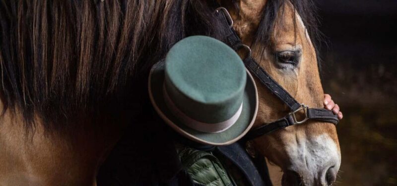 NYC: Central Park Horse-Drawn Carriage Ride - A Detailed Look at the Carriage Ride Experience