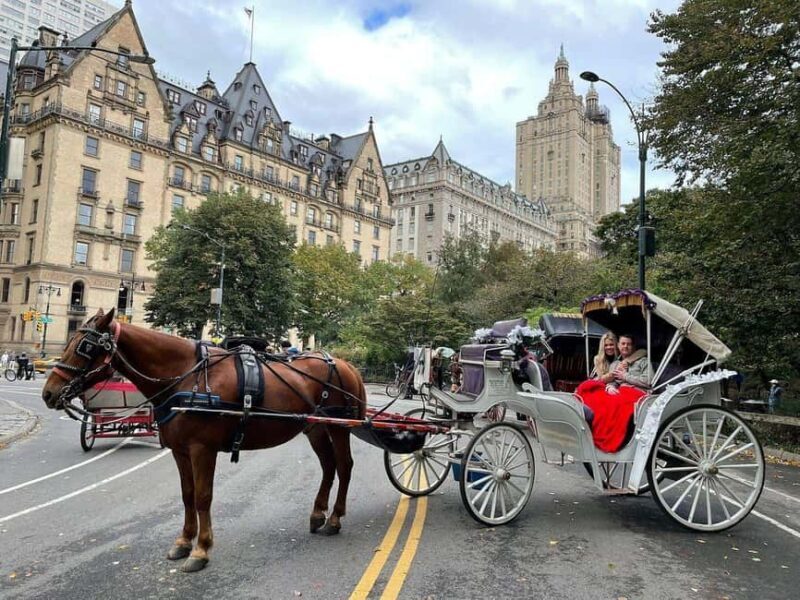 NYC: Central Park Horse-Drawn Carriage Ride - FAQs