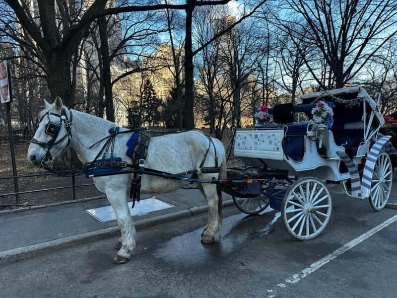 NYC Central Park Horse Drawn Carriage Ride - An In-Depth Look at the Experience