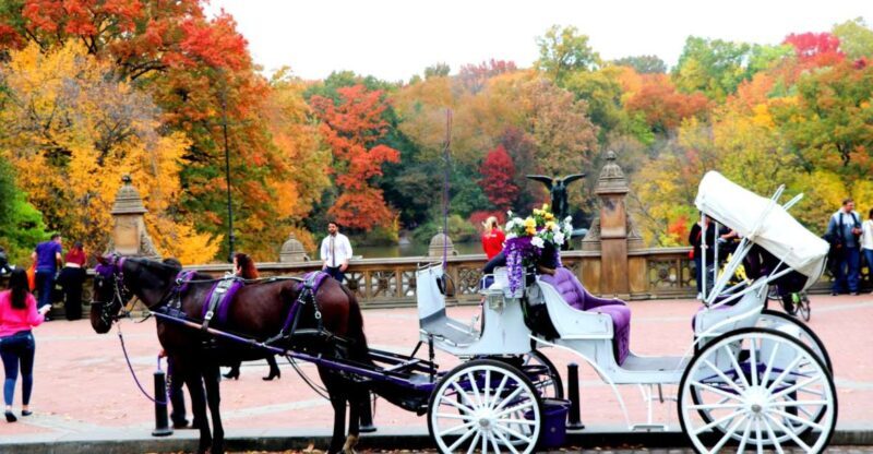 NYC: Central Park Horse-Drawn Carriage Ride (up to 4 Adults) - Why This Tour Is Perfect for You