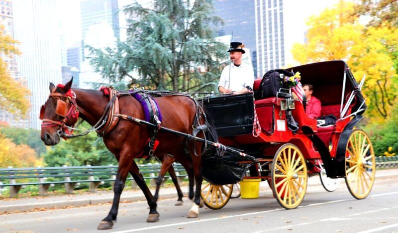 NYC: Central Park Horse-Drawn Carriage Ride (up to 4 Adults) - The Sum Up