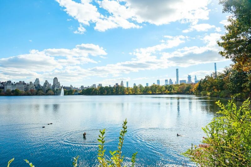NYC: Central Park Pedicab Tour with Photo Stops - The Practical Aspects