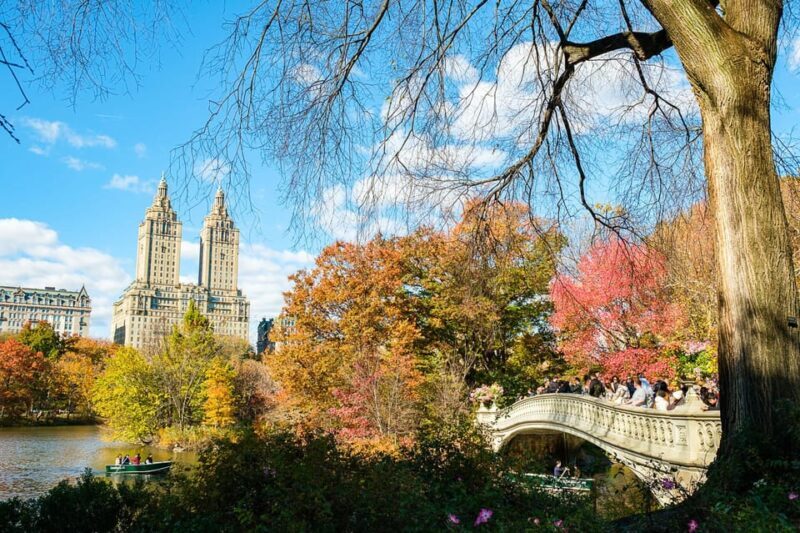 NYC: Central Park Pedicab Tour with Photo Stops - Final Thoughts: Is It Worth It?