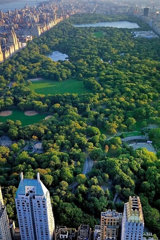 NYC Central Park Pedicab Tours - Exploring Central Park on a Pedicab: A Fun and Informative Experience