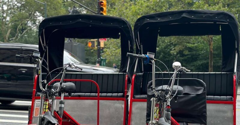 NYC Central Park Pedicab Tours - Who Is This Tour Best For?