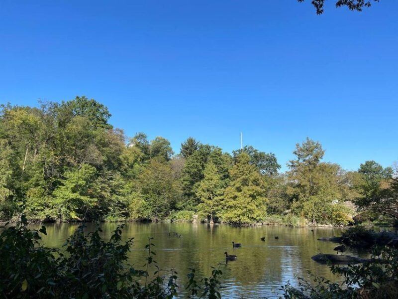 NYC Central Park Pedicab Tours - FAQ