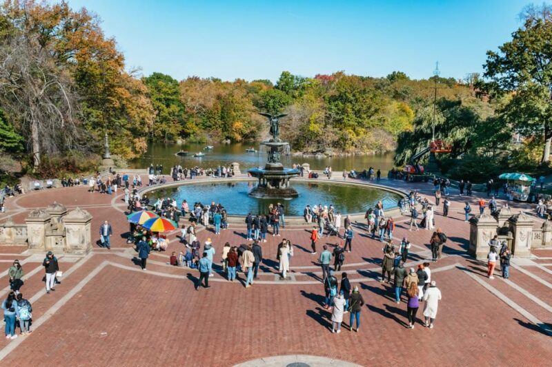 NYC: Central Park Rickshaw Tour / Private and Guided - Evaluating the Experience: Whats the Real Value?