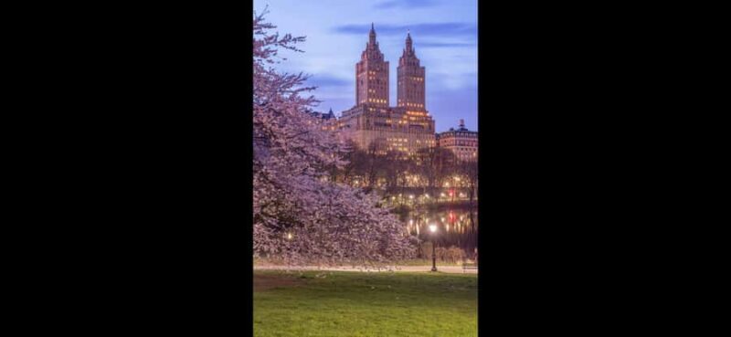 NYC: Central Park Rickshaw Tour with Boat Rental - A Closer Look at the Tour Itinerary