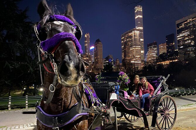 NYC Central Park & Rockefeller Center Private Horse Carriage Tour - Value and Cost Considerations