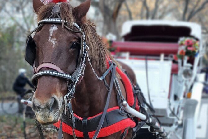 NYC Central Park & Rockefeller Center Private Horse Carriage Tour - Practical Details and Tips