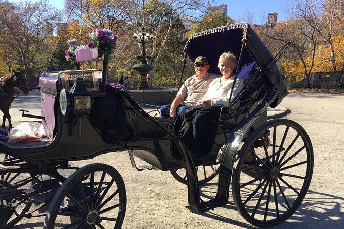 NYC Central Park VIP Horse and Carriage Ride - Final Thoughts