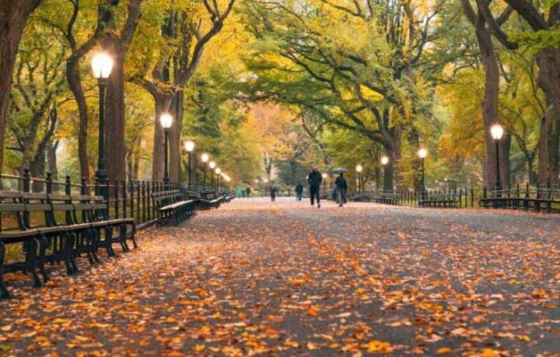 NYC: Central Park Zoo & Central Park Guided Walking Tour - Entering the Central Park Zoo Without Hassle