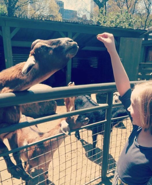 NYC: Central Park Zoo & Central Park Guided Walking Tour - Practical Details for Travelers