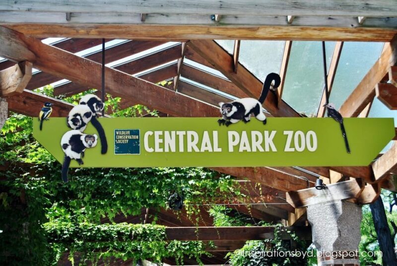 NYC: Central Park Zoo Entry Ticket & Manhattan Walking Tour - Who This Tour is Perfect For