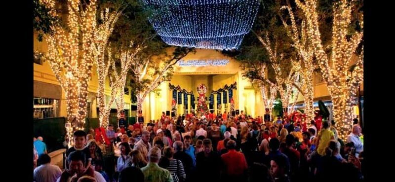 NYC Christmas Express: Holiday Lights Guided Tour - A Detailed Look at the Tour Experience