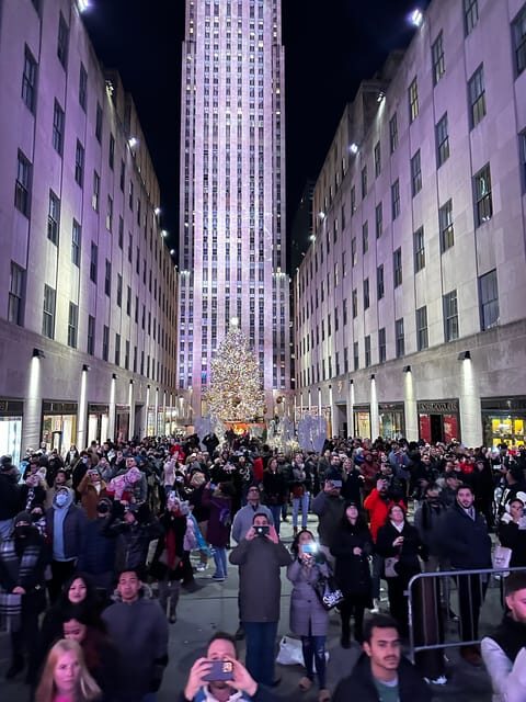NYC: Christmas Lights Horse Carriage Ride - Key Points