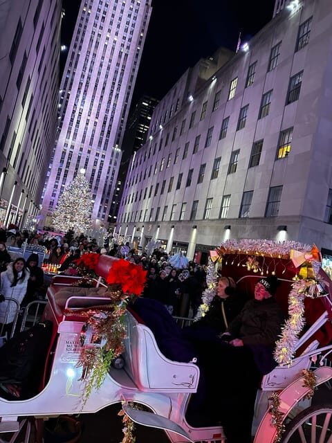NYC: Christmas Lights Horse Carriage Ride - A Detailed Look at the Experience