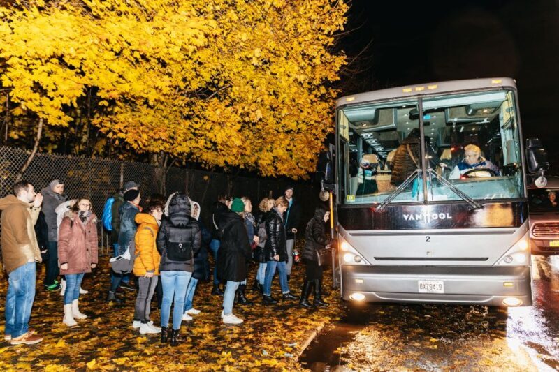 NYC: Dyker Heights Christmas Lights & Skyline View Bus Tour - Final Thoughts
