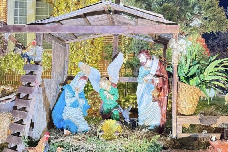 NYC: Dyker Heights Christmas Lights Trolley Tour - Final Thoughts: Is It Worth It?