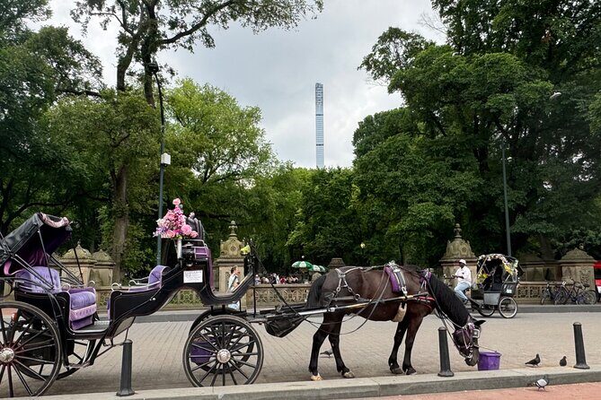 NYC Empire State Horses Carriage Ride in Central Park(55 Min) - Final Thoughts