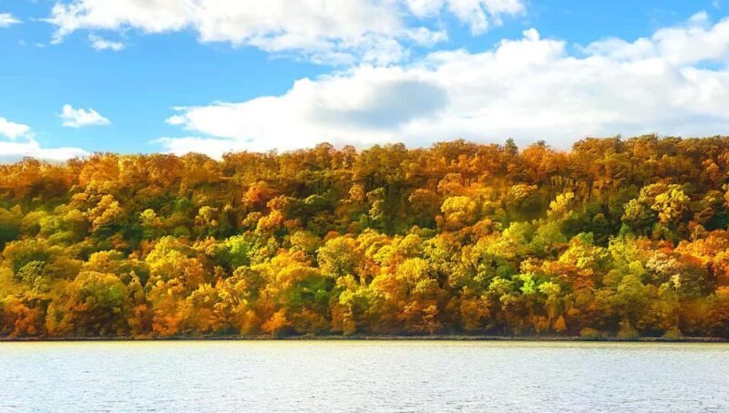 NYC: Fall Foliage Cruise with Live Guide - Practical Tips for Travelers