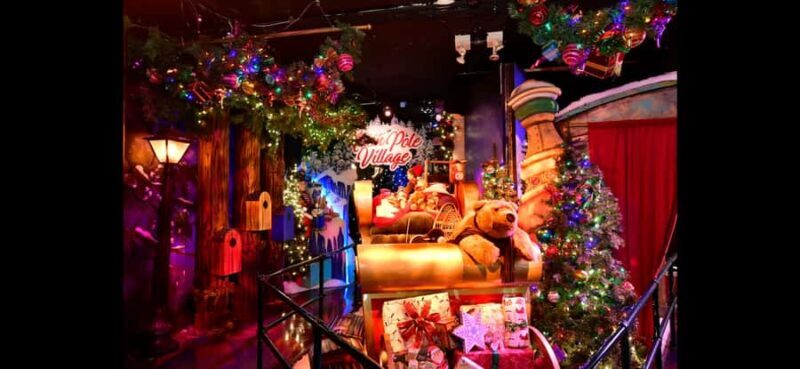NYC Festive Magic: Christmas Lights Experience - What Travelers Are Saying