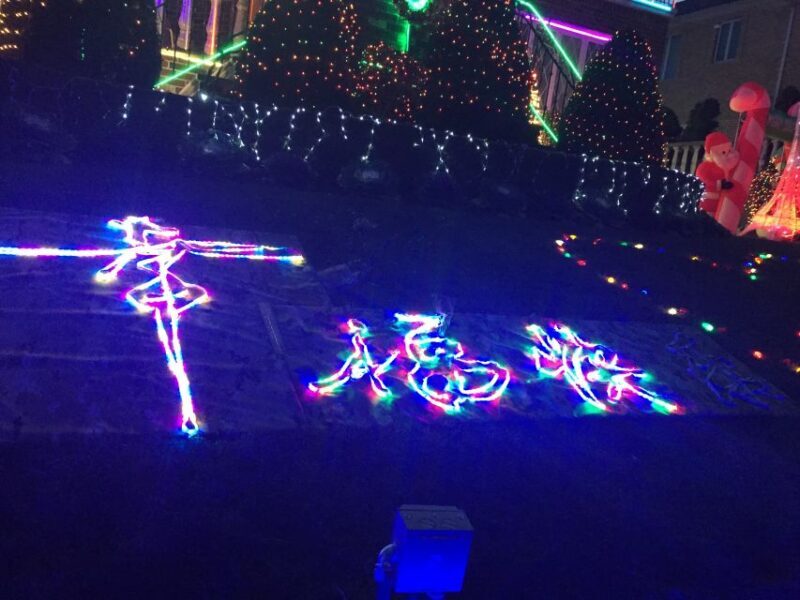 NYC | French guided tour of Christmas in Brooklyn - Pricing and Value