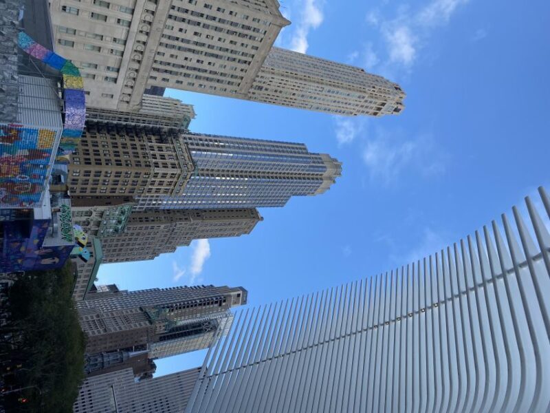 NYC | French guided tour Southern Manhattan - Practical Details and What You’ll Experience
