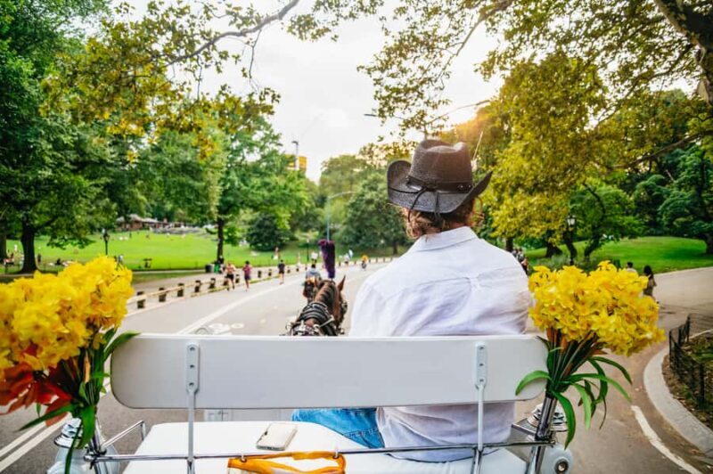 NYC: Guided Central Park Horse Carriage Ride - An Overview of the Experience