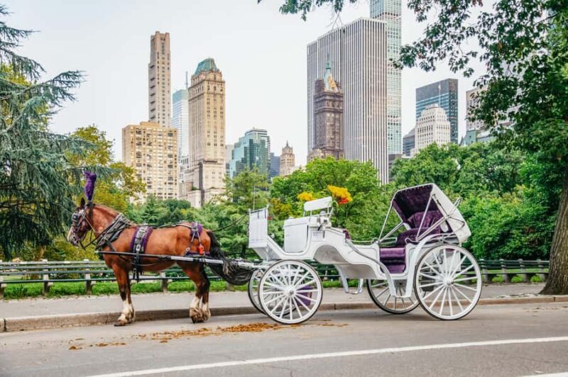 NYC: Guided Central Park Horse Carriage Ride - The Value and Cost