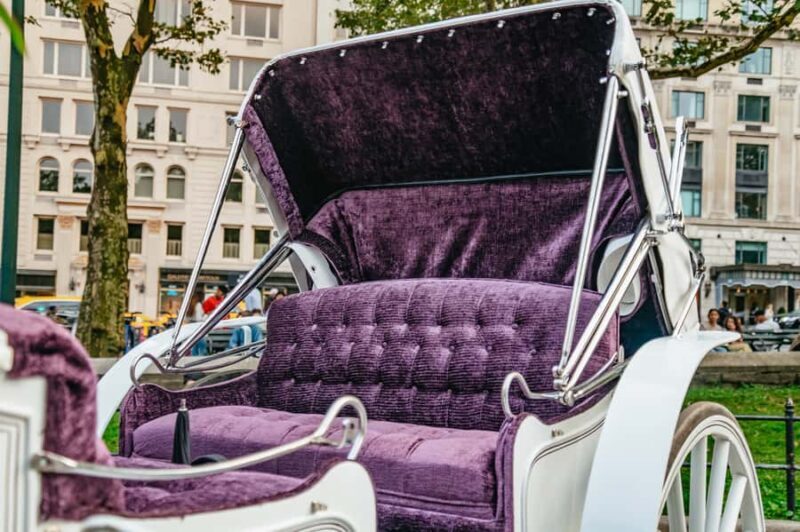 NYC: Guided Central Park Horse Carriage Ride - Final Thoughts