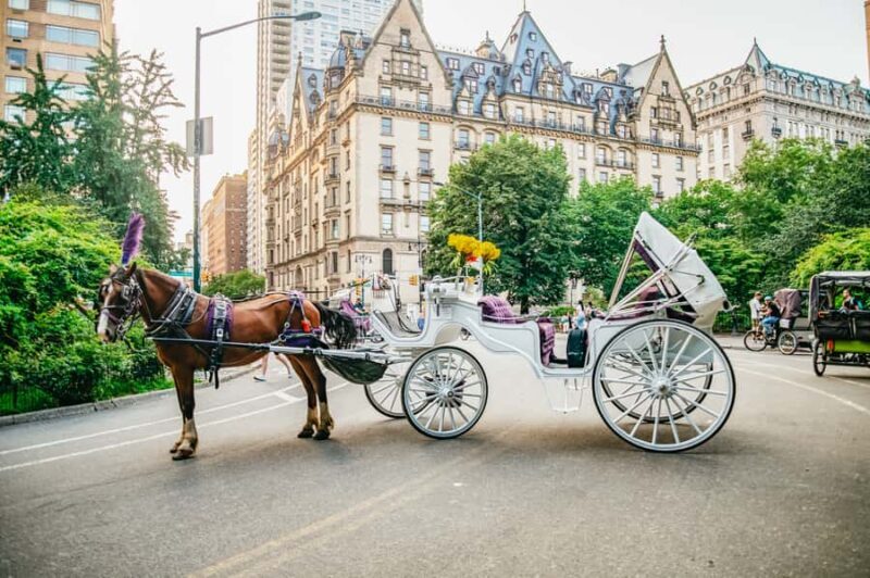 NYC: Guided Central Park Horse Carriage Ride - The Sum Up