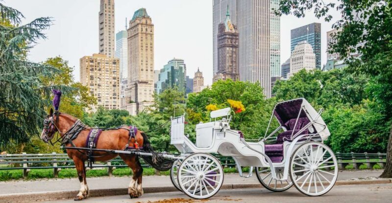 NYC: Guided Central Park Horse Carriage Ride - The Itinerary and Highlights