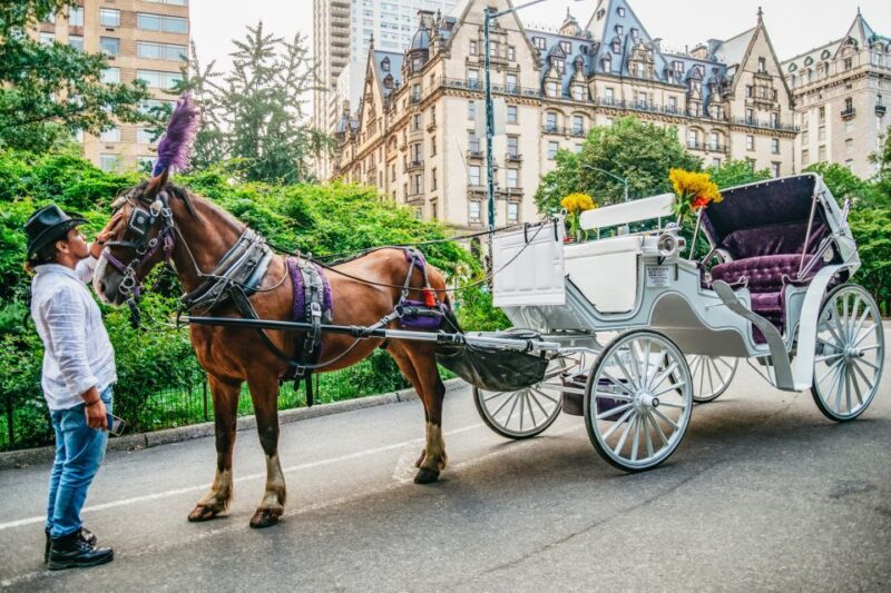 NYC: Guided Central Park Horse Carriage Ride - The Guide and Horse Care
