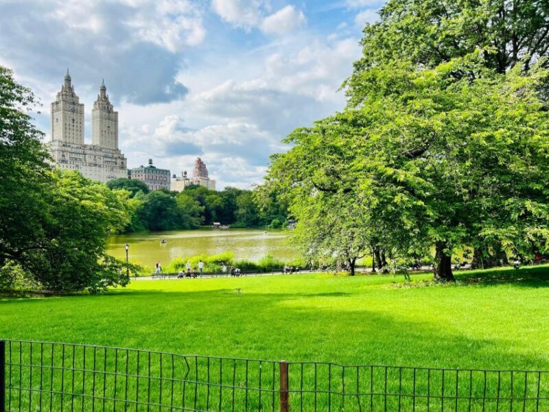 NYC: Guided Central Park Pedicab Private Tour - The Experience: What to Expect from Start to Finish