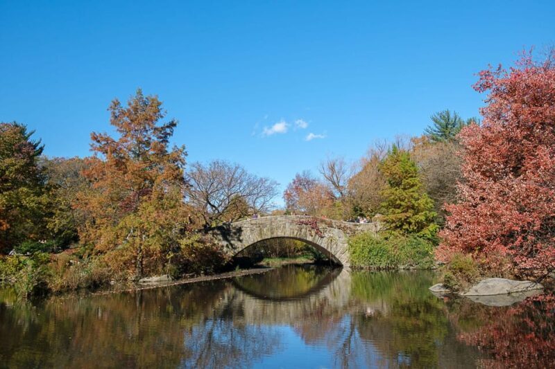 NYC: Guided Central Park Private Pedicab Tour - The Experience: What to Expect from the Central Park Pedicab Tour